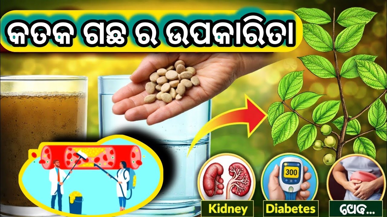 କତକ ଗଛର ଔଷଧିୟ ଗୁଣ ||  Katak Gacha Upakarita 