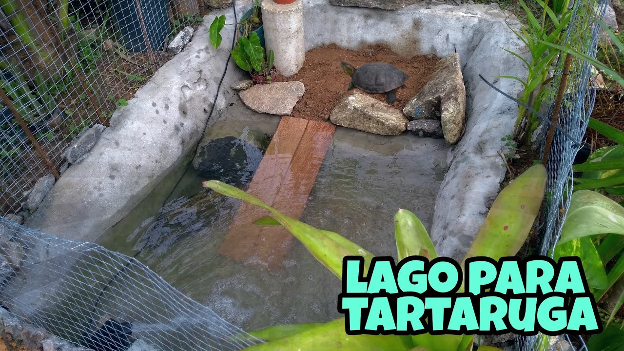 Como Fazer um Lago para tartarugas tigre d'água