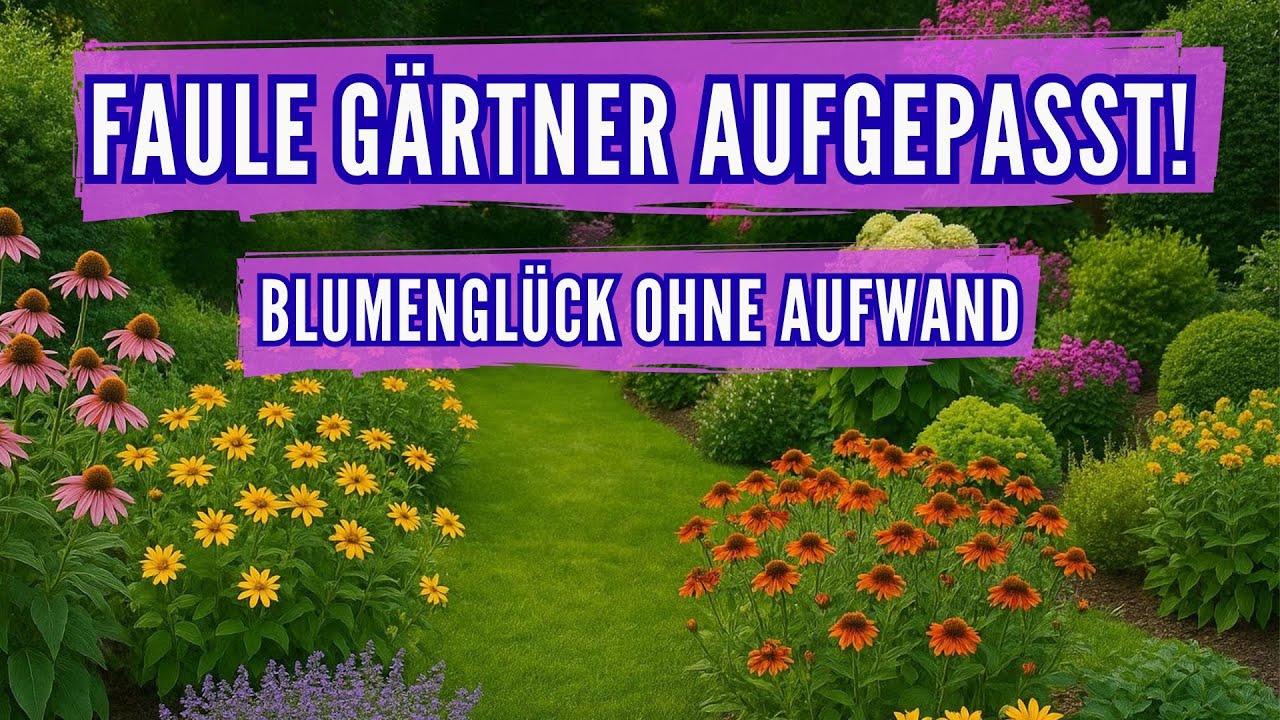 G&auml;rtnern f&uuml;r Faule und Anf&auml;nger: So klappt G&auml;rtnern trotzdem!