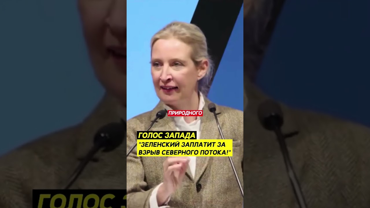 Немецкий журналист и политик обвиняет Зеленского и Украину