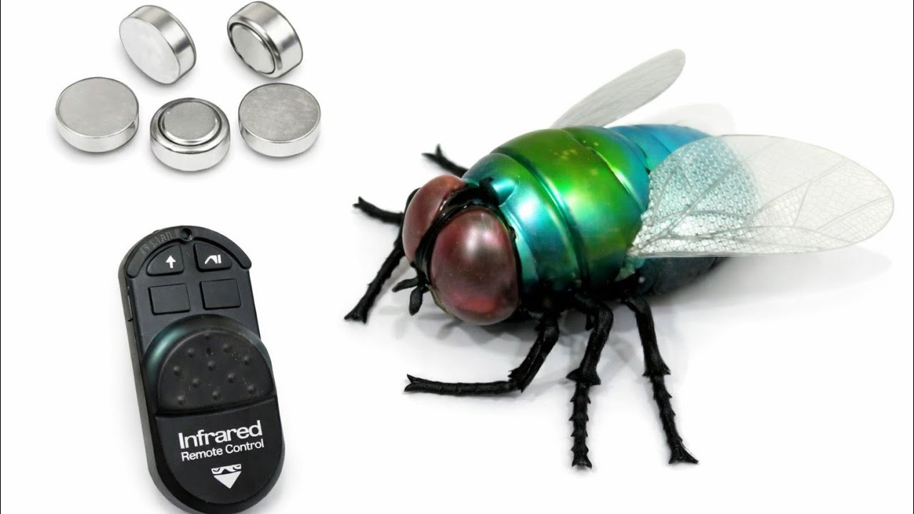 ASMR Remote Control Fly Unboxing | Creepy Toy Test