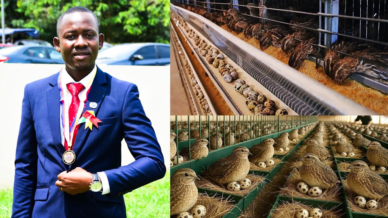 FROM BANKING TO QUAIL FARMING