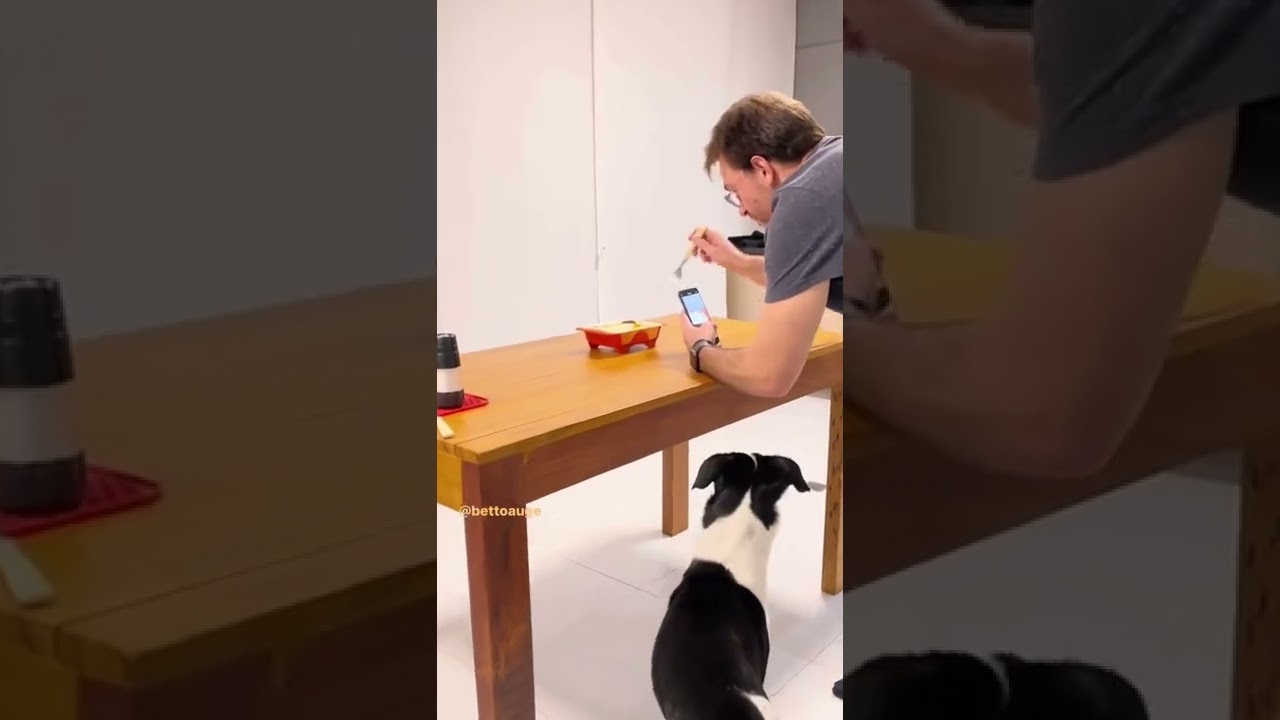 Como fazer REELS de comida (lasanha congelada)