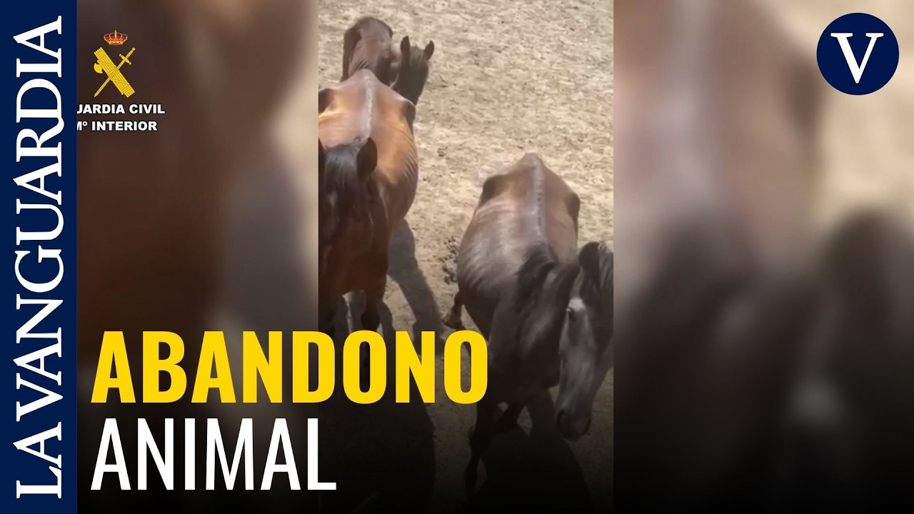 Nueve investigados por maltrato animal a m&aacute;s de 60 caballos en fincas de Zaragoza