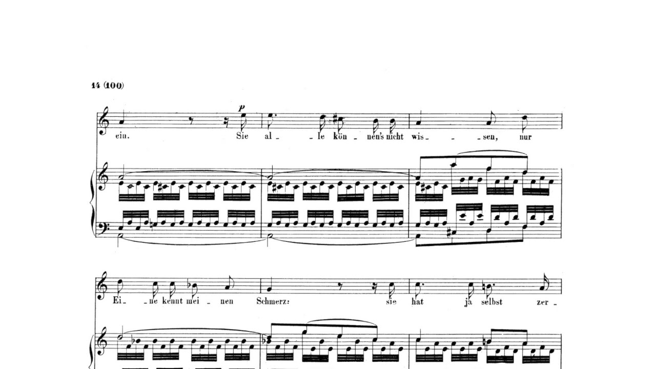 Robert Schumann- Dichterliebe VIII- und wüssten die blumen