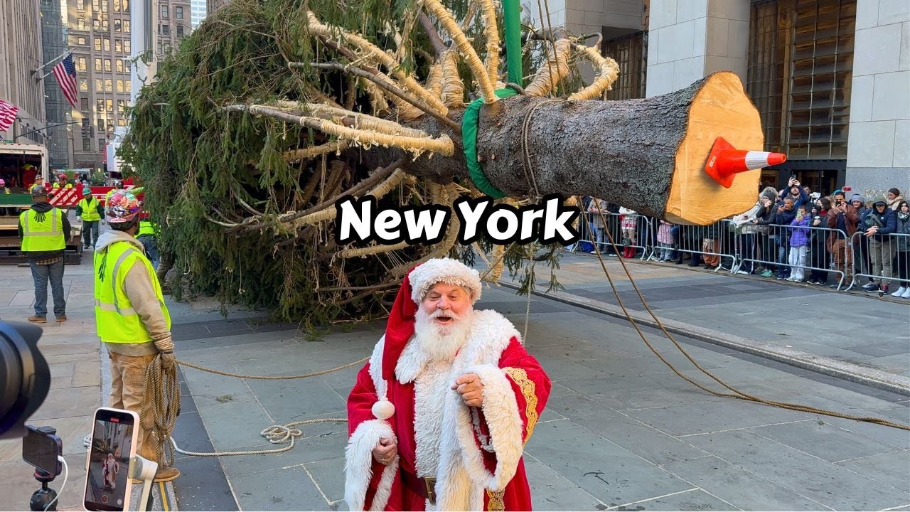NYC Rockefeller Center Christmas Tree 2024 Installation Video 🎄 New York City 🎅🏼