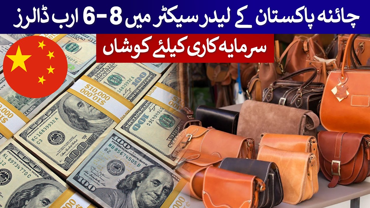 China looking to invest $6-8 billion in Pakistan's leather sector | Rich Pakistan