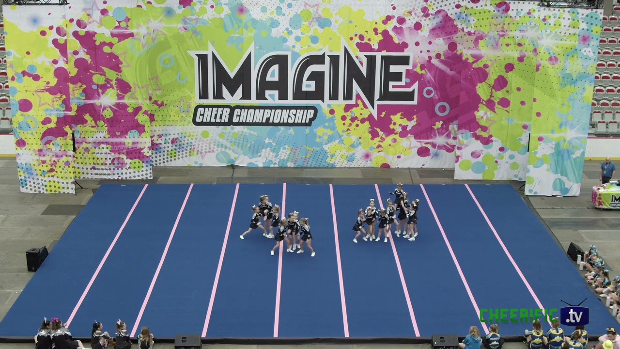 Dynasty Cheer Allstars - Bronze Flecks - Calgary - U8 Prep Level 1 - Day 1