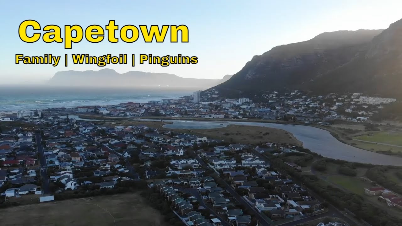 Capetown | Family | Wingfoil | Pinguins