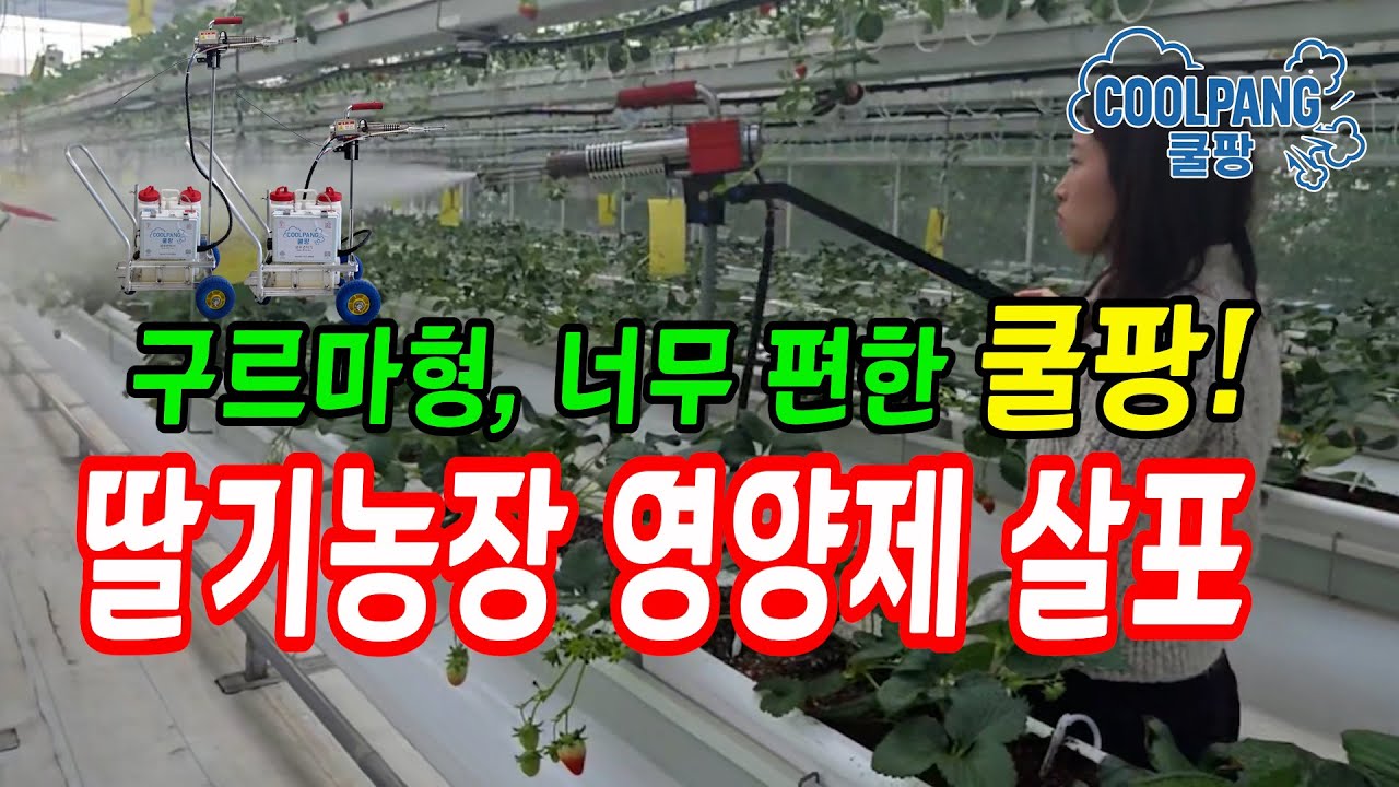 쿨팡 구르마형  딸기농장 영양제 살포, 여성도 아주 편하게......