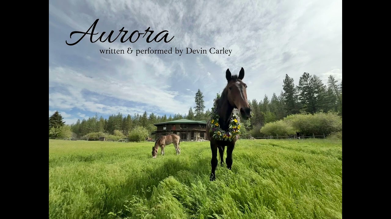 Aurora song