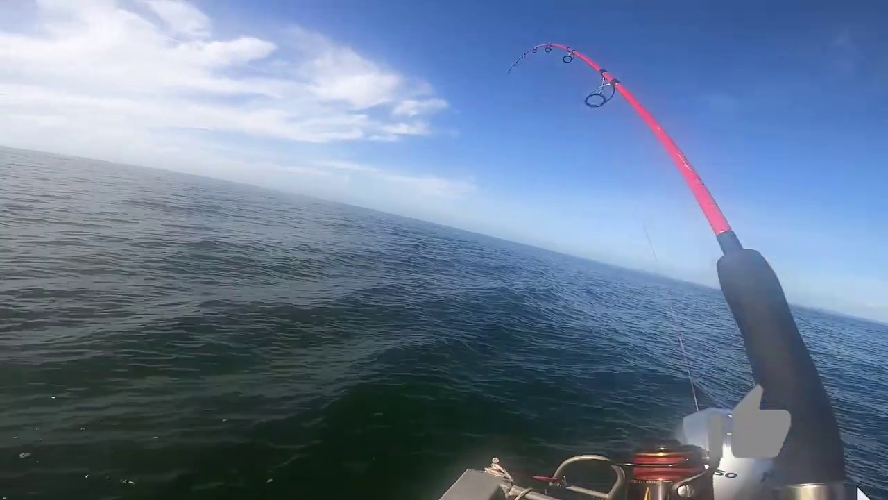 Pêche aux îles du Salut / Guyane Française (Partie 2)