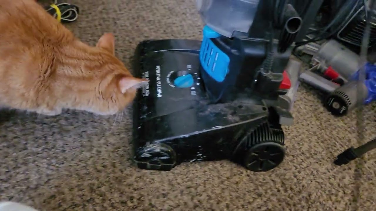 Оно вернулось! Bissell PowerGroom 68C77 снова в продаже!