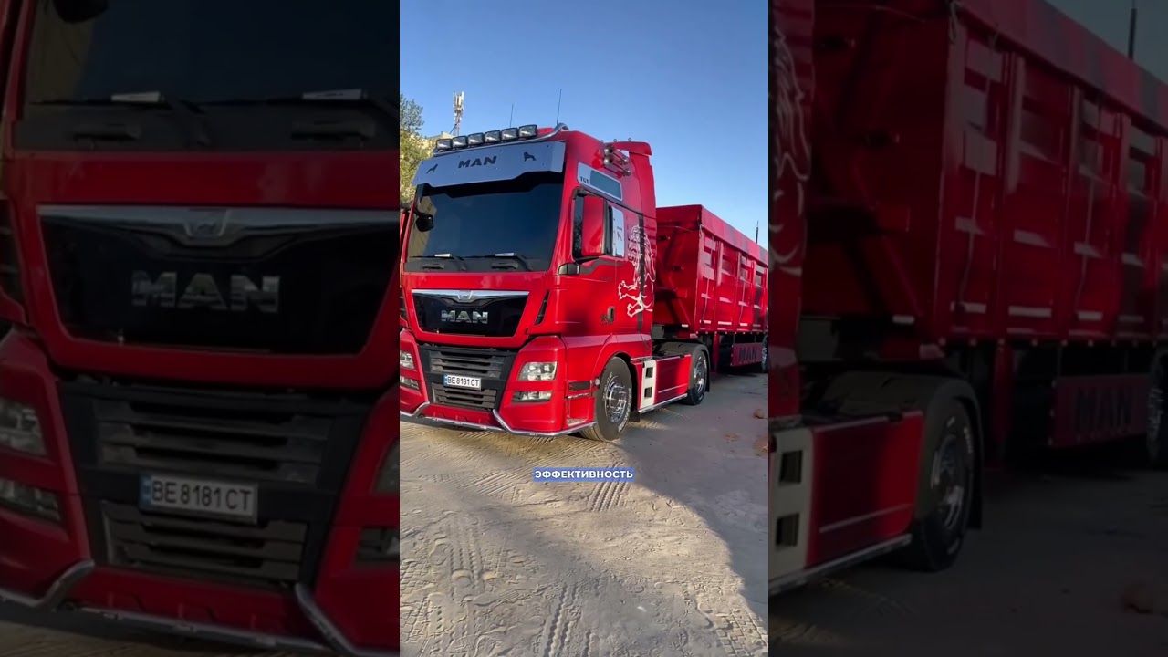MAN TGX - настоящий лев в сфере грузоперевозок! #logistics #automobile #дальнобой