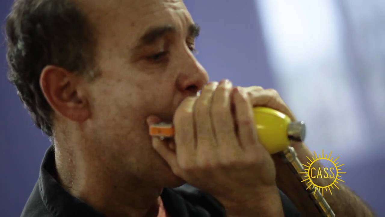 Seydel Session Steel amplified G harp