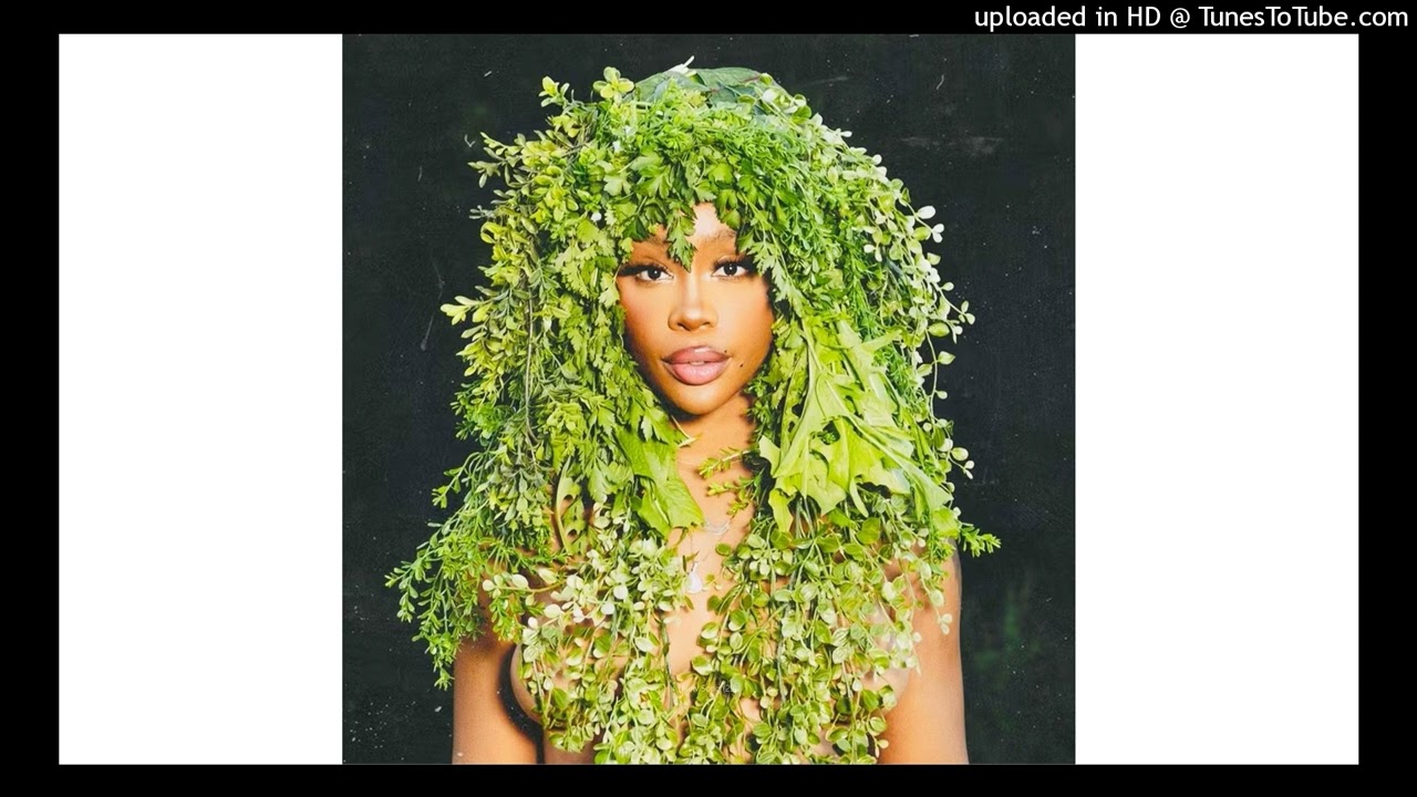 bedroom - sza/ sos/ lana type beat (available)