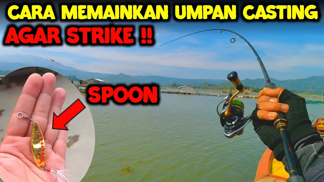 Cara casting ikan hampala pakai umpan spoon !!