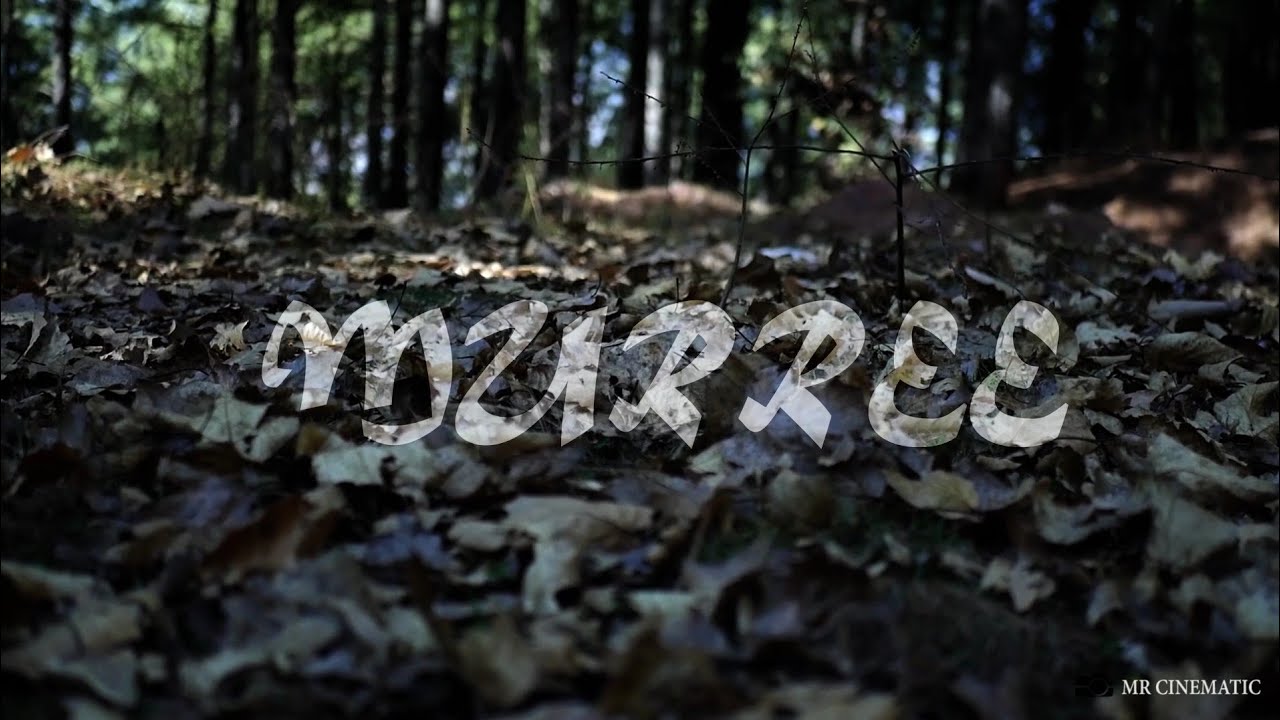 Lost in M U R R E E