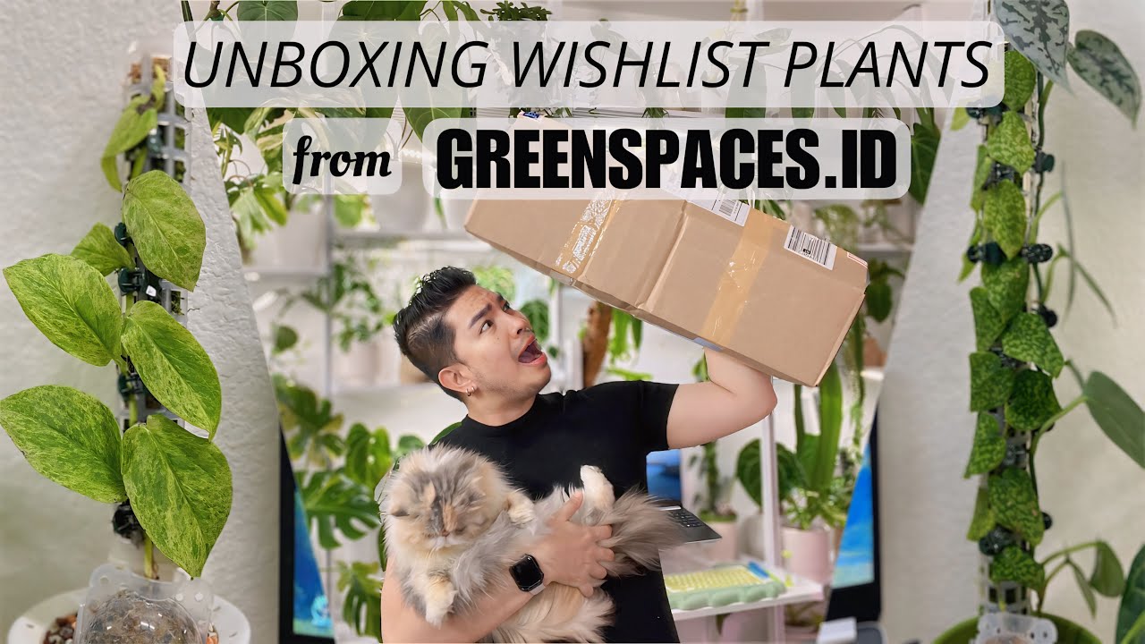 🪴 UNBOXING WISHLIST PLANTS | Greenspaces.ID 🌿