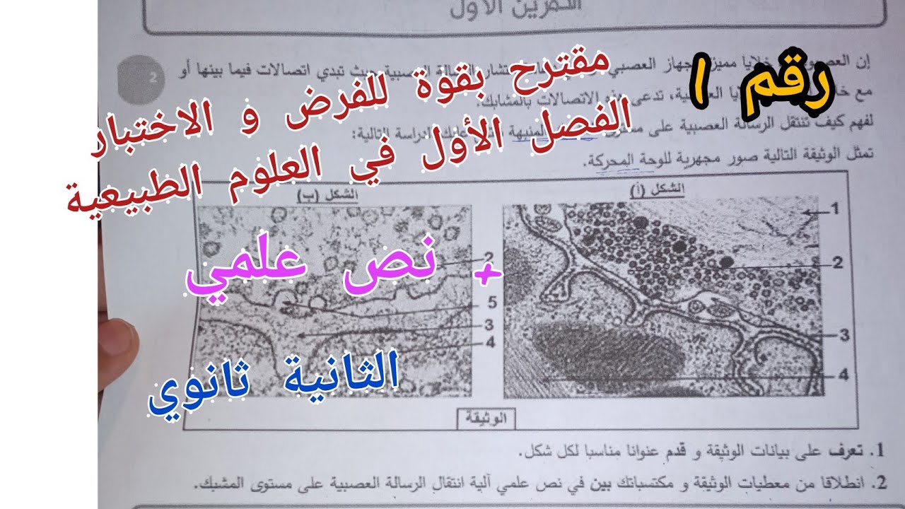 مقترح بقوة للفرض و الاختبار الفصل الأول في العلوم الطبيعية للسنة الثانية ثانوي