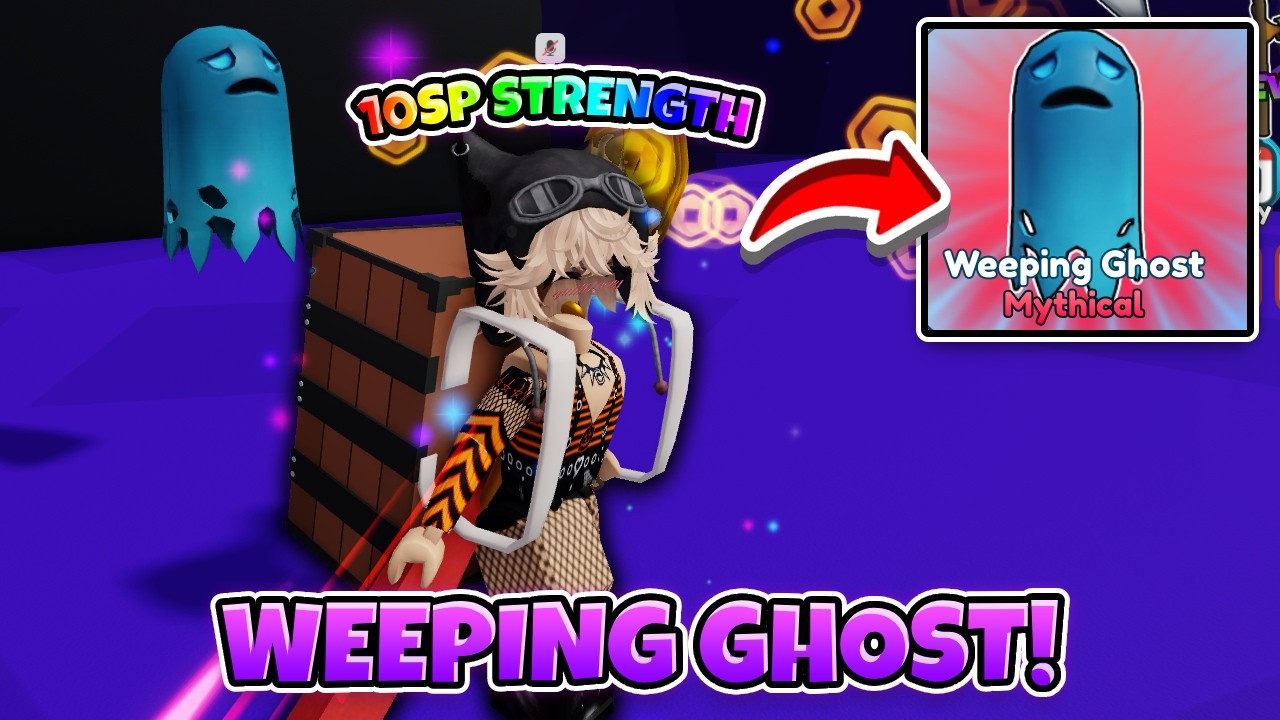 I Become The STRONGEST With This PET In Reborn As Swordman... (Roblox)