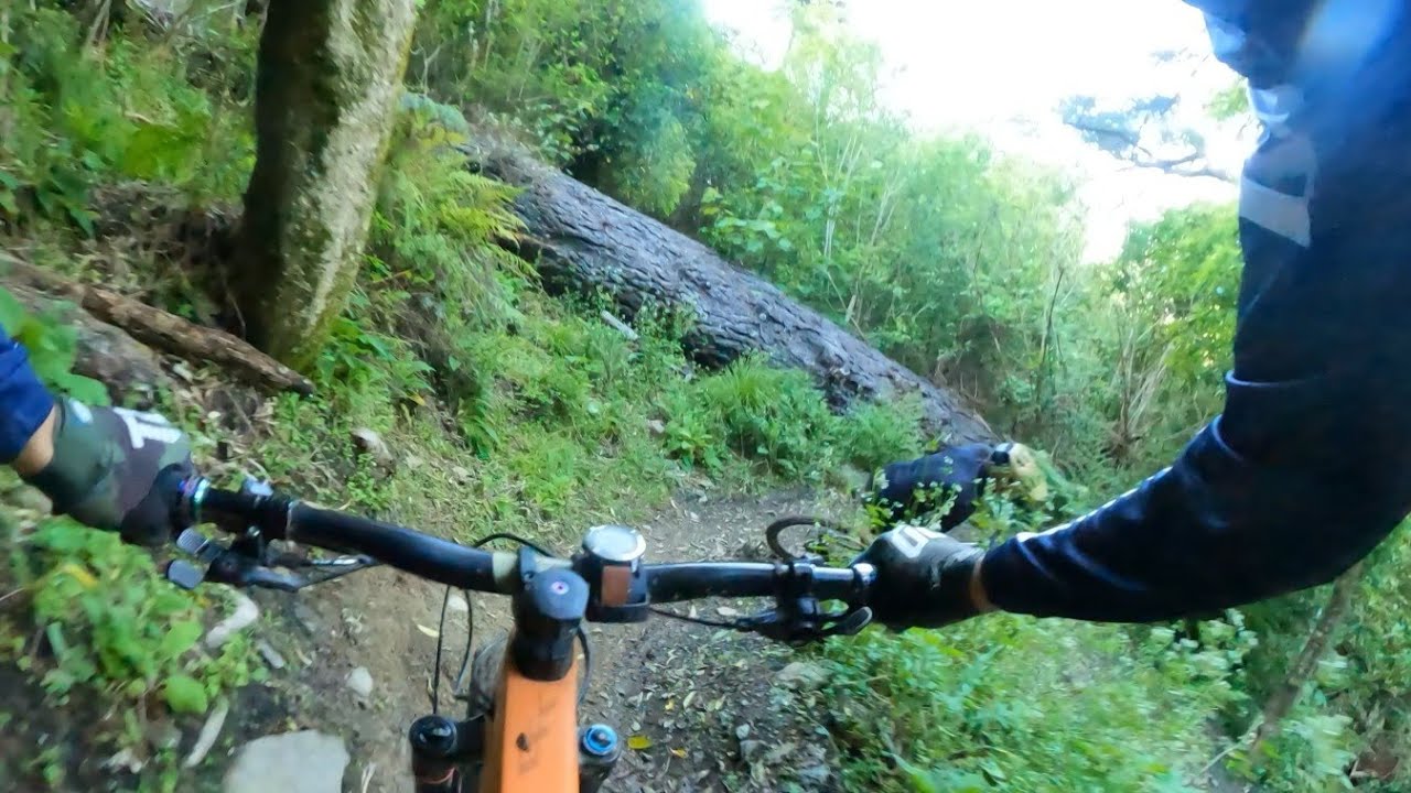 Te Ara Koa [Fringed Hill Nelson MTB] 2.7K