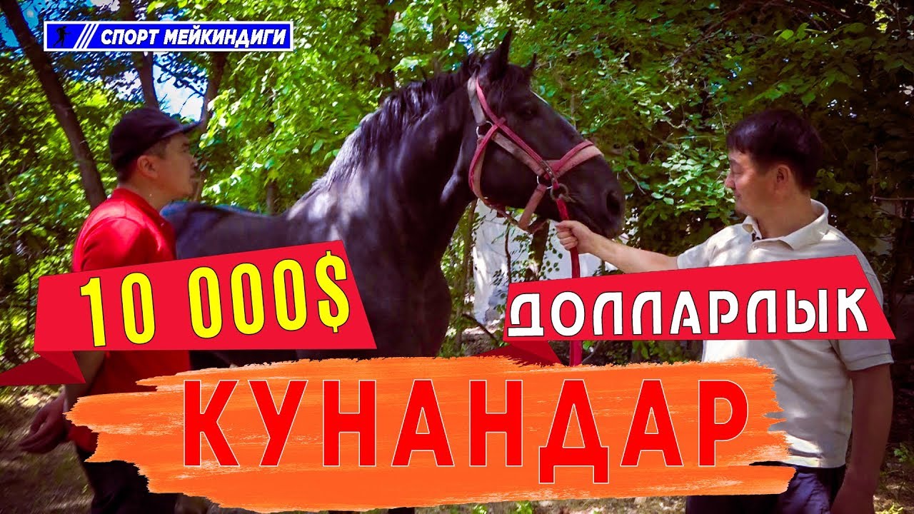 Аттардан чоң 10 000 миң долларлык КУНАНДАР | СПОРТ МЕЙКИНДИГИ