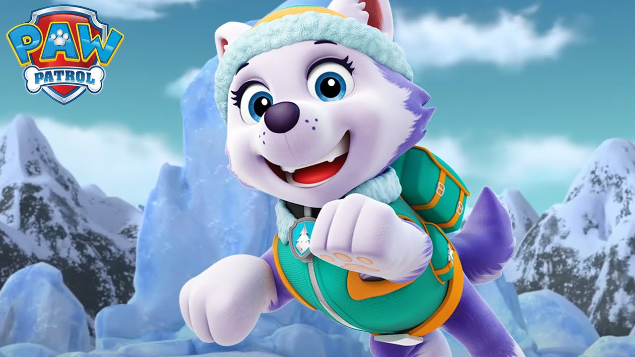 Những ch&uacute; ch&oacute; con cứu gấu Bắc Cực con! 🐻&zwj;❄️- PAW Patrol Tiếng Việt - Hoạt h&igrave;nh d&agrave;nh cho trẻ em