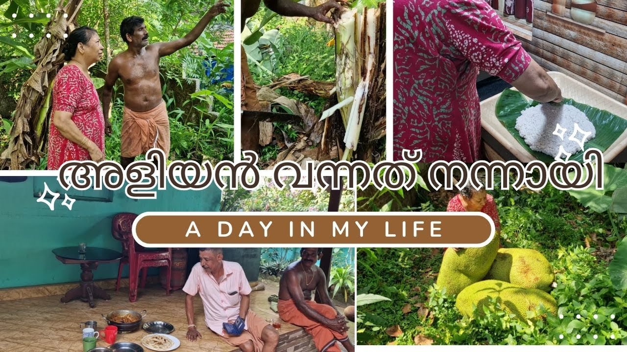ഇവിടുത്തെ ഒഴിവ ദിവസത്തെ കാഴ്ചകൾ ആണെല്ലാം//DAY WITH AMMA ACHAN