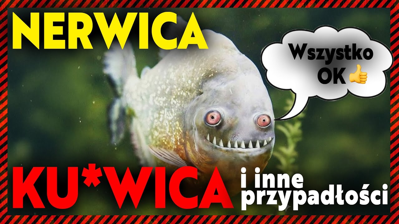 dr Aleksandra Sarna o zaburzeniach lękowych