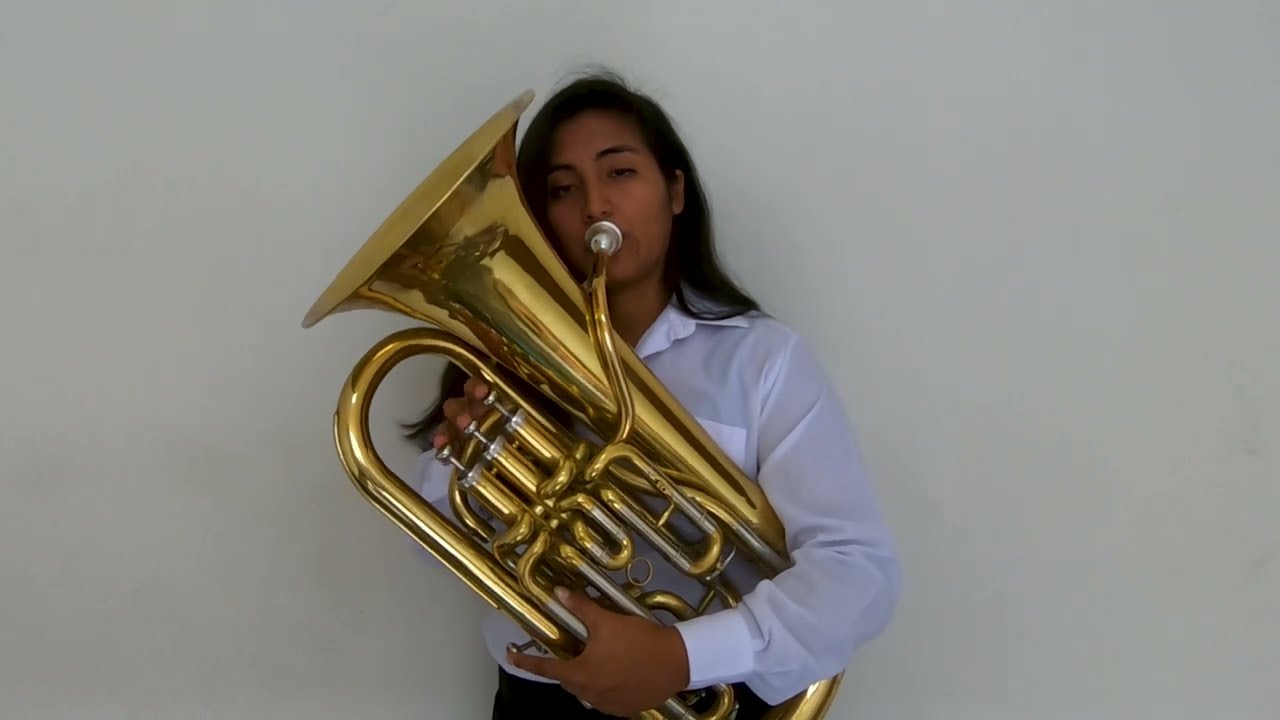 RITMO COLOR Y SABOR ENSAMBLE 2022 - Universidad Nacional de Música