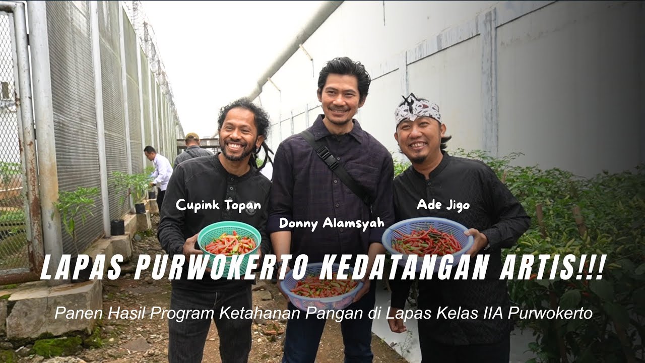 PANEN HASIL PROGRAM KETAHANAN PANGAN LAPASTO BERSAMA ARTIS!!