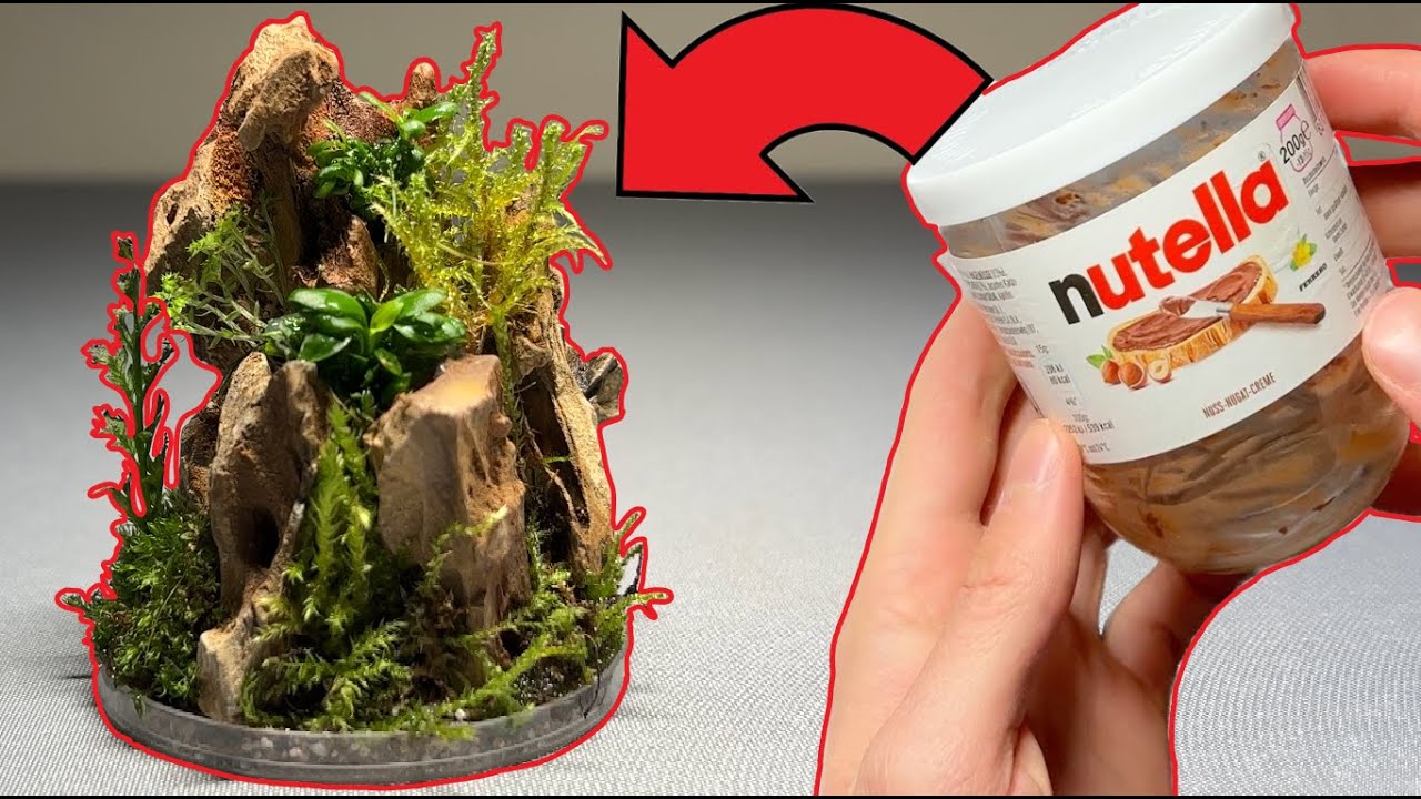 turning a NUTELLA Jar into a Glass Dome TERRARIUM