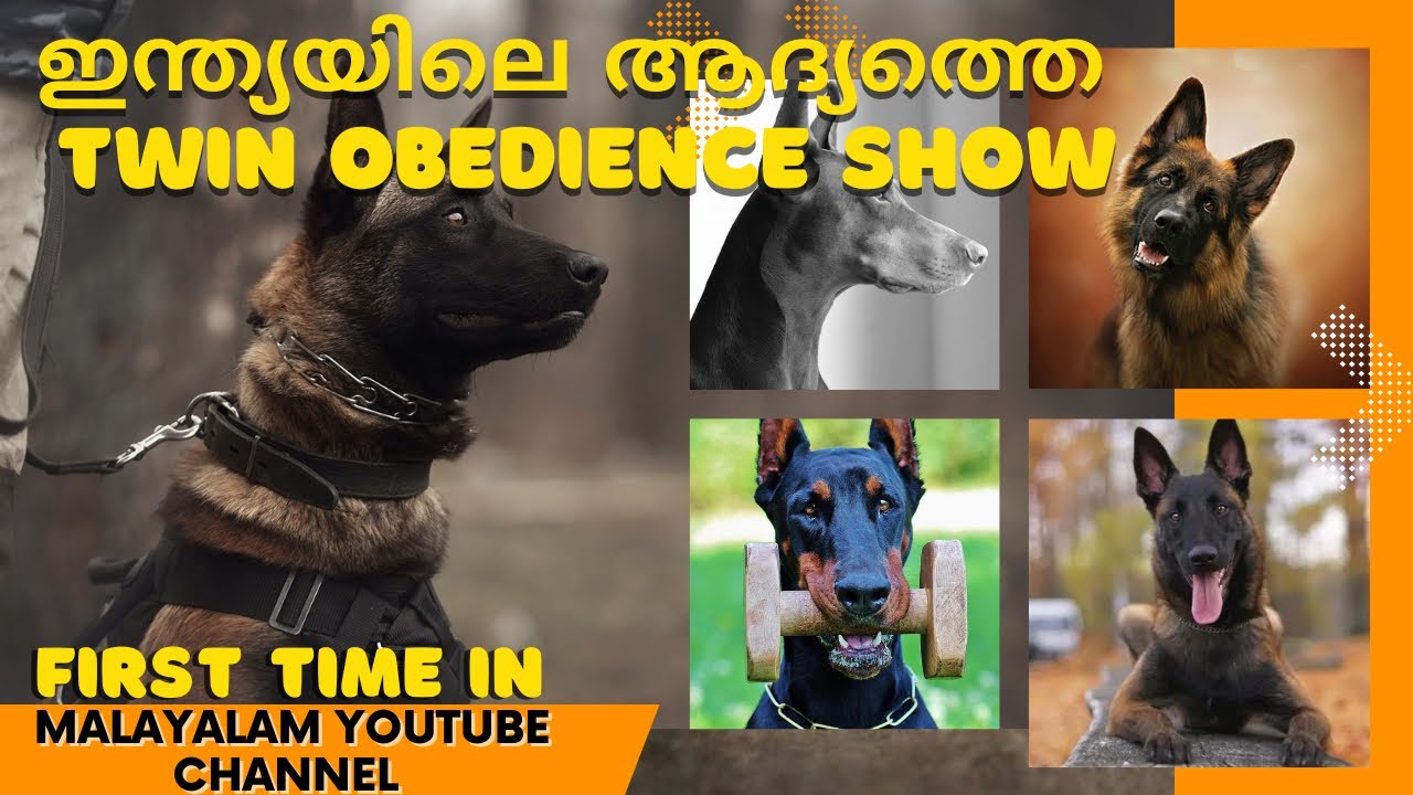 ഇന്ത്യയിലെ ആദ്യത്തെ TWIN OBEDIENCE DOG SHOW |