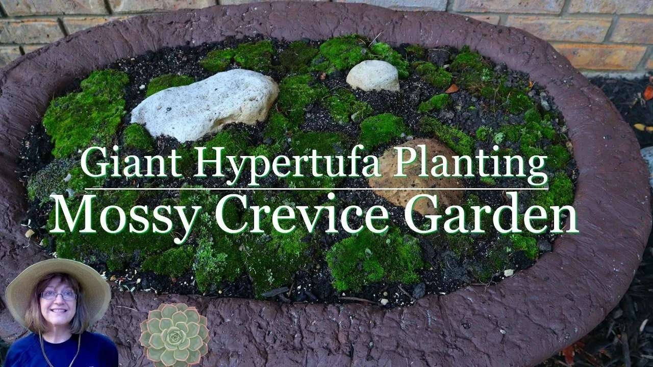 My Giant Hypertufa Planting - How to Make A Mossy Crevice Garden Outdoors in Hypertufa