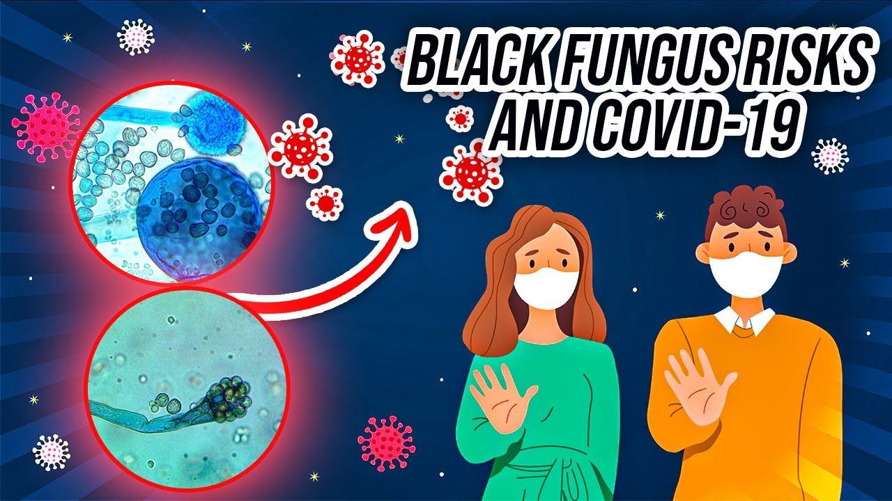 Black Fungus Risks and COVID 19