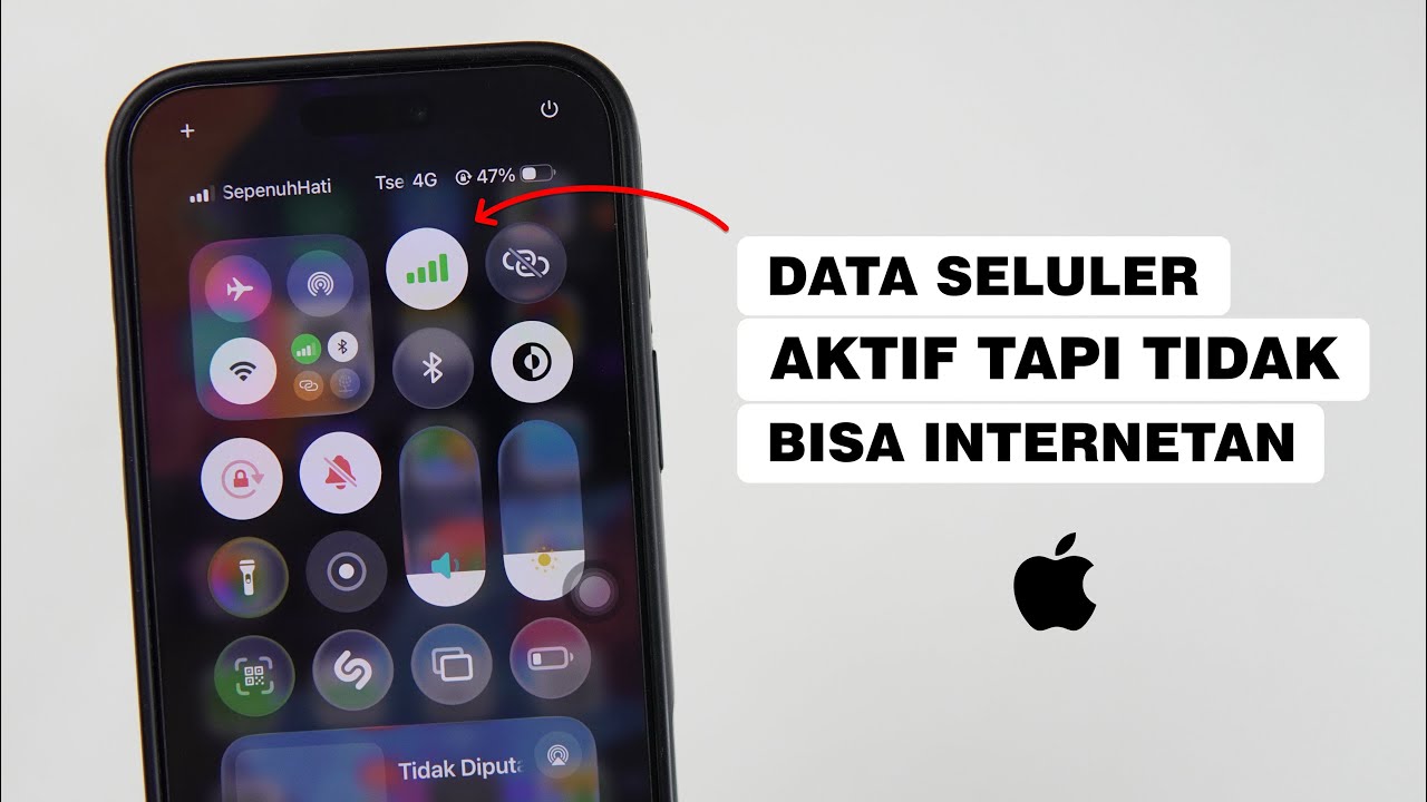 Cara Mengatasi Data Seluler Aktif Tapi Tidak Bisa Internet di iPhone
