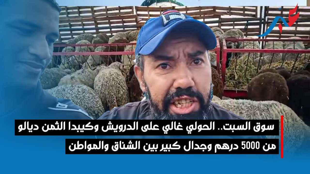 سوق السبت.. الحولي غالي على الدرويش وكيبدا الثمن ديالو من 5000 درهم وجدال كبير بين الشناق والمواطن
