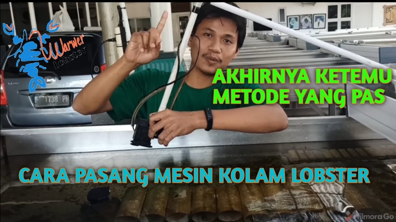 CARA MEMASANG MESIN KOLAM LOBSTER AIR TAWAR