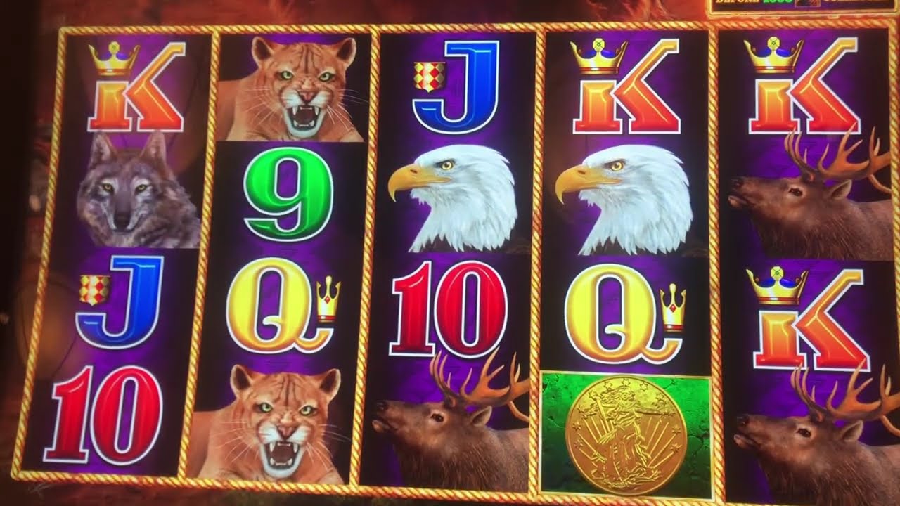 Игровой автомат Buffalo Link, сессия в казино 🦬🔗🎰