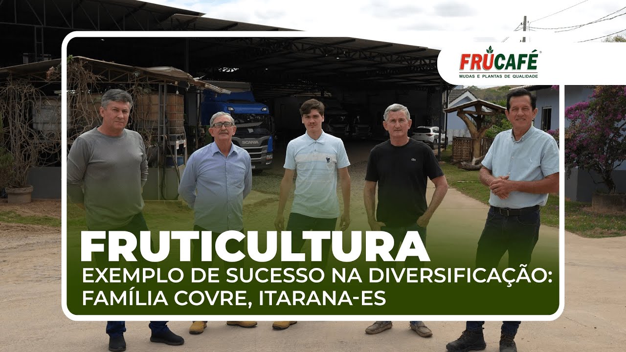 Por quê a Diversificação com Fruticultura é um sucesso? Conheça a família Covre, Itarana-ES.