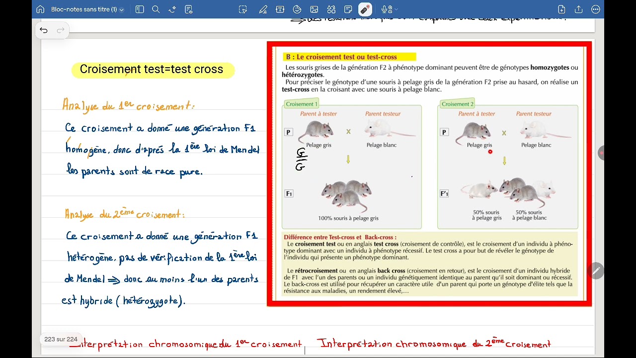 Croisement test ou test cross.