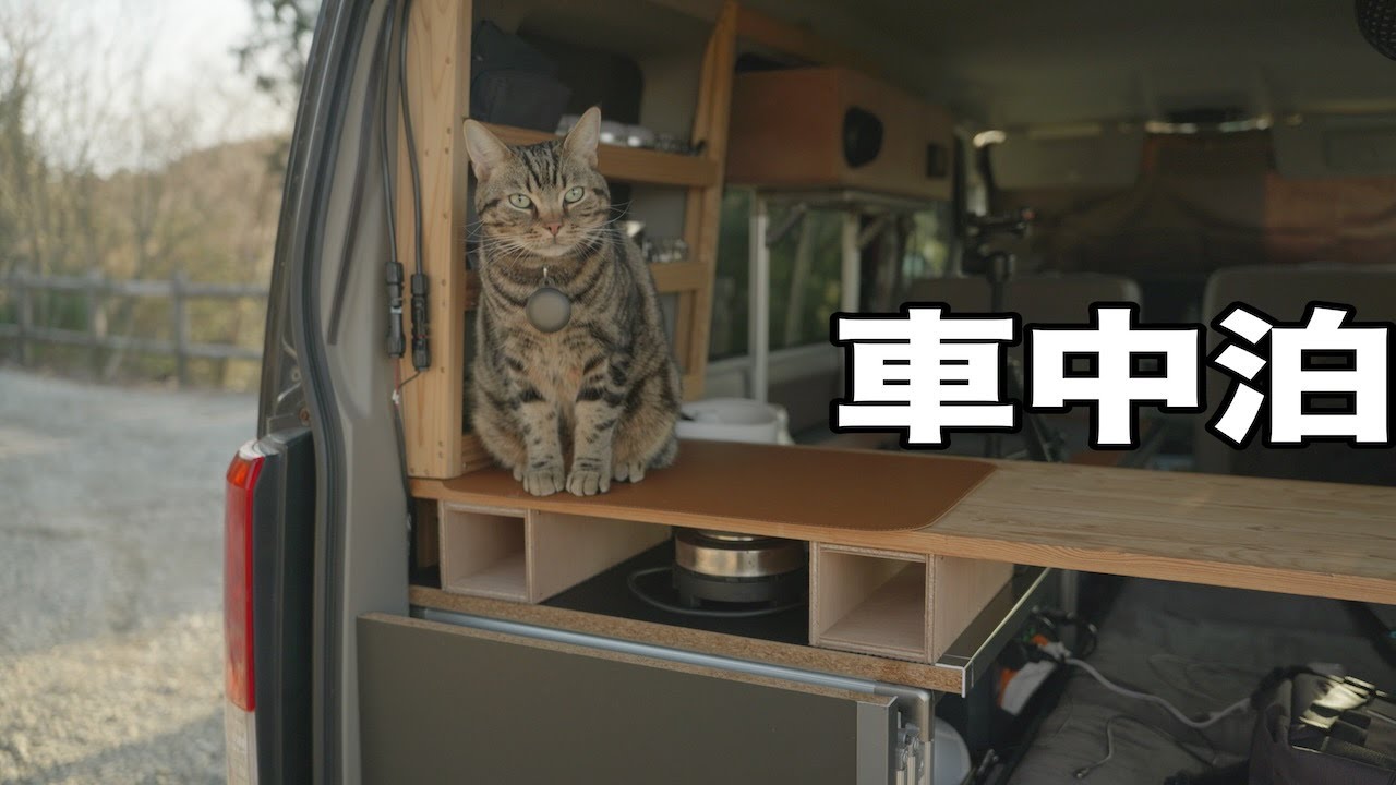 【車中泊】エブリイで車中泊始めました。今日は猫と一緒｜ASMR
