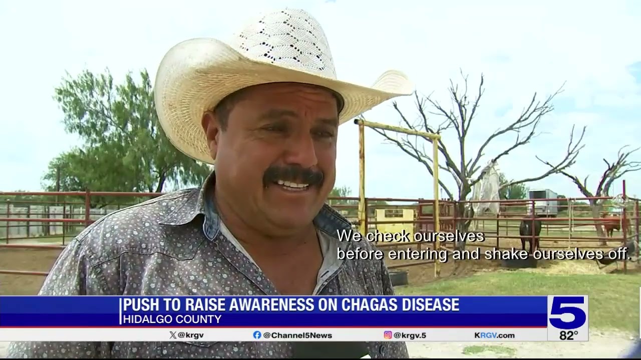 Concerns raised after 'kissing bug   disease detected in Hidalgo County