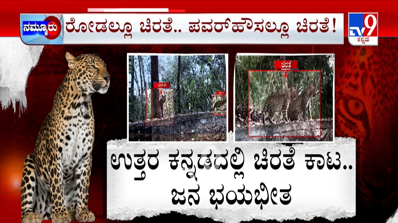 Leopard Again Spotted In Male Mahadeshwara Hills | Chikkaballapur BESCOM Officer Negligence Exposed