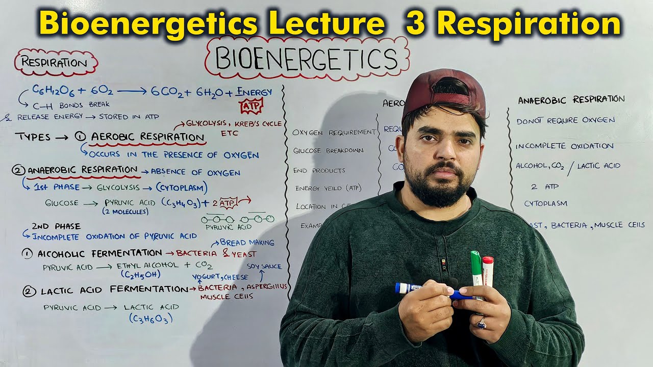 Class 9th chapter 7 Bioenergetics: Cellular Respiration