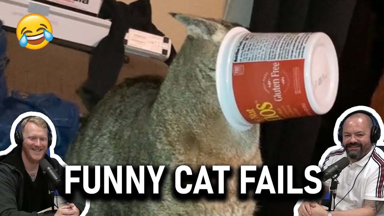 Забавная неудачная реакция кота!! | ОФИСНЫЕ ПАРНИ РЕАКЦИЯ!!