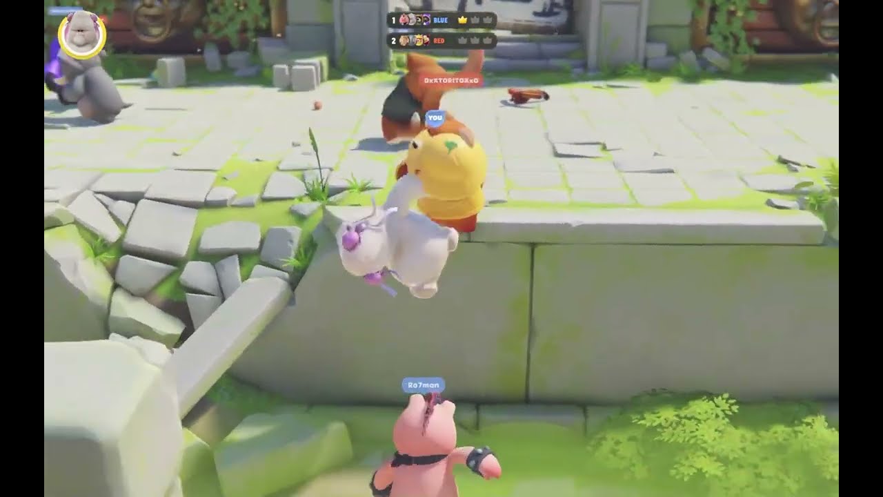 Party Animals Highlights