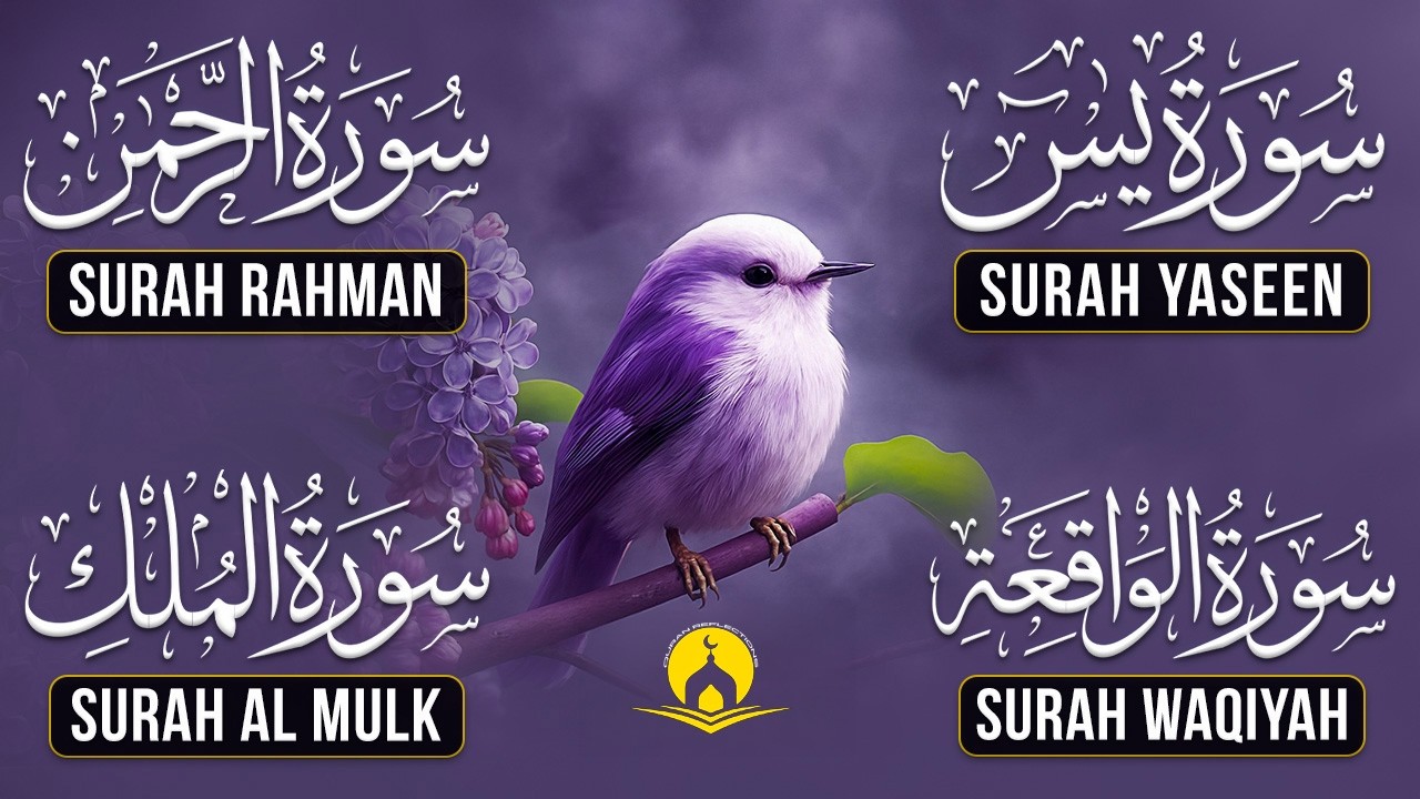 Surah Yasin | Surah Rahman | Surah Waqia | Surah Mulk | Full HD | Ashraf Hussain  | 0020