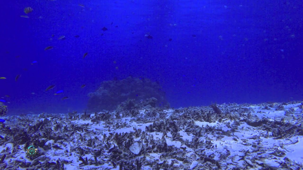 Gili Trawangan - Dive 6 Deep Turbo
